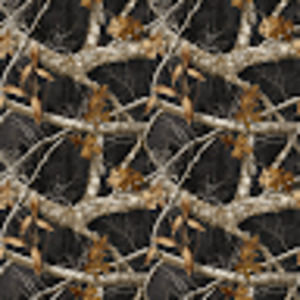 Meet your Posher, Chuck